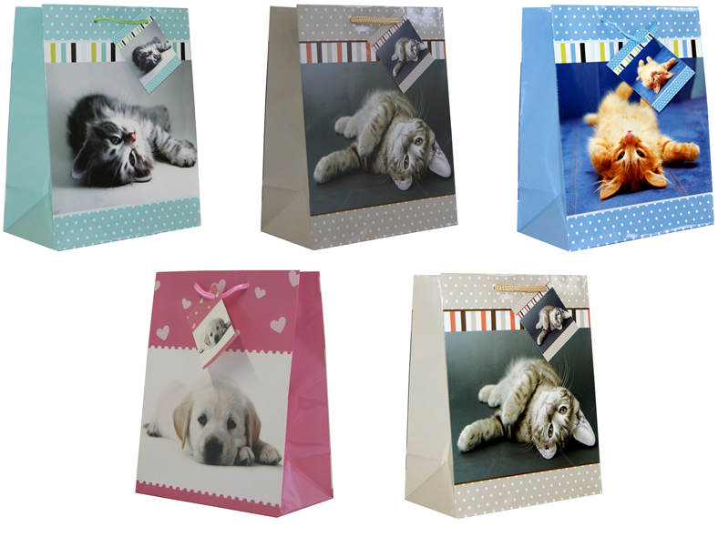 Geschenkbeutel mittel (230 x 180 x 100 mm)