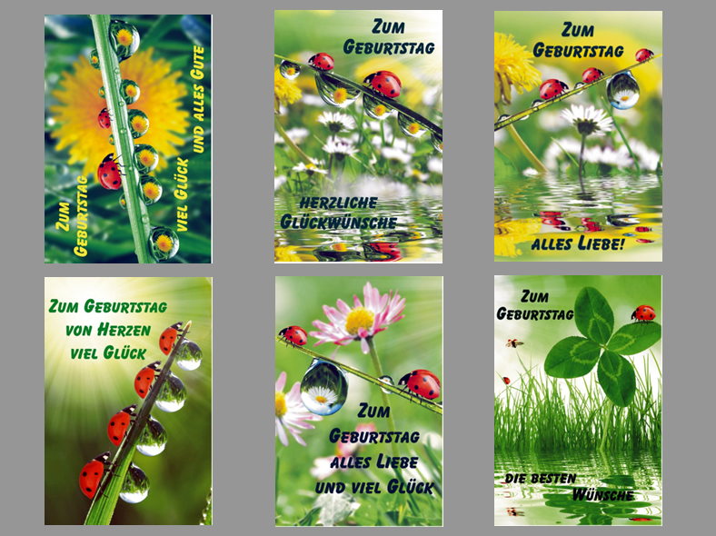 Geburtstags-Karte mit Marienkäfern